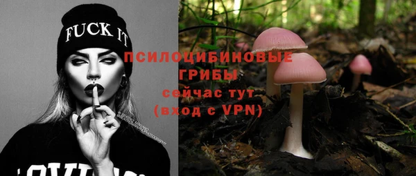 твердый Волоколамск