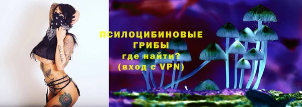 дживик Володарск