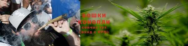 дживик Володарск